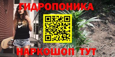 герыч Новодвинск
