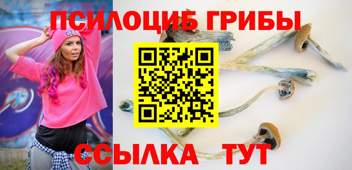Псилоцибиновые грибы Cubensis Фурманов