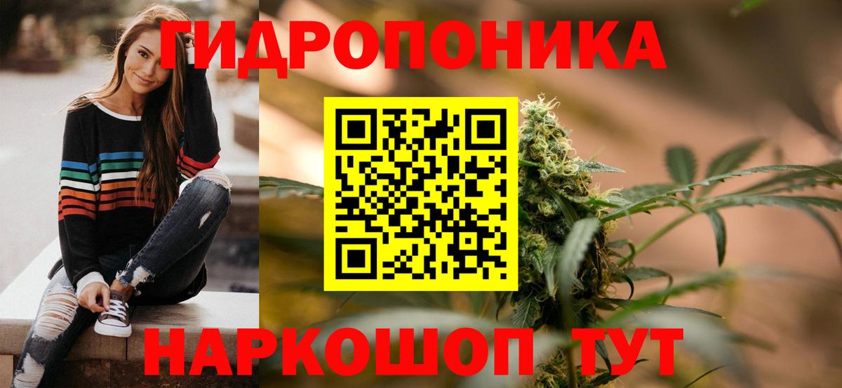 МАРИХУАНА сатива Фурманов